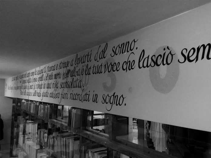 18268549_10209177967755891_4071036698617285172_n