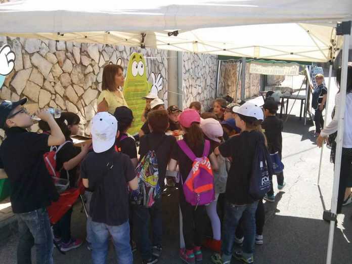 18425236_1879939865564136_5734261965259157667_n