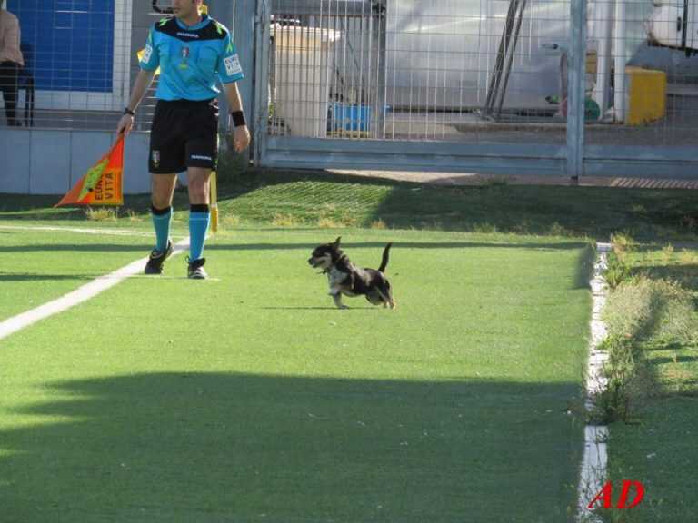 La sorpresa: porte chiuse, solo per gli umani…