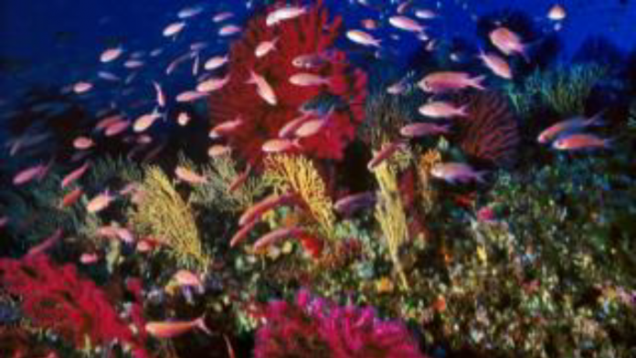 Screenshot_2017-06-15-11-40-16