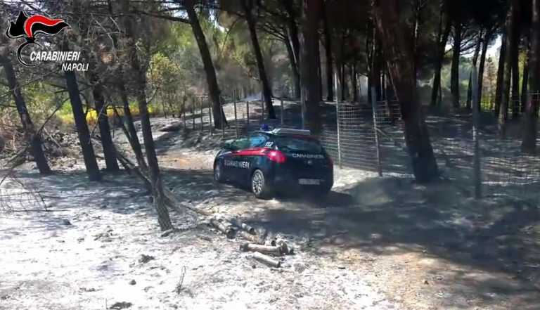 Parco Nazionale Vesuvio, summit per la prevenzione incendi