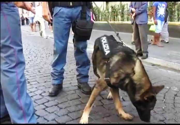 kira_cane antidroga polizia