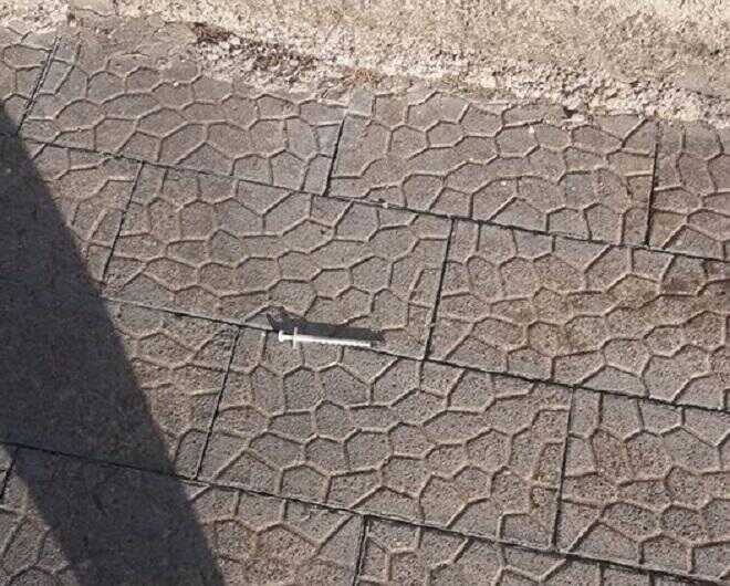 siringa_bellizzi scuola infanzia