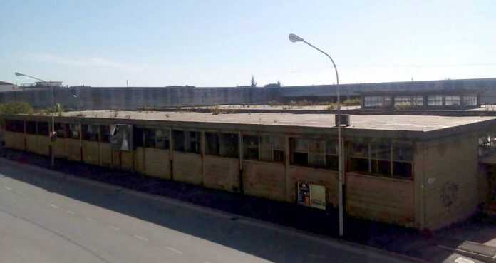 22815189_10210518609471096_8785386433229874292_n