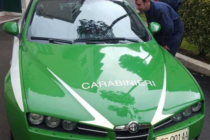 carabinieri_forestali1