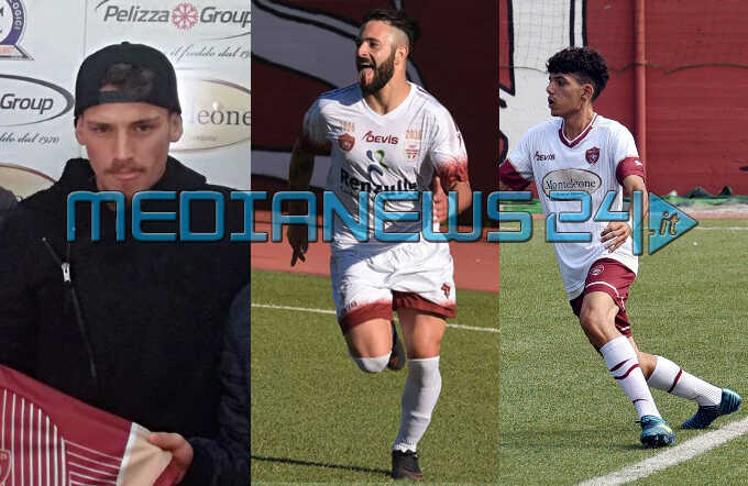 manfrellotti-elefante-talia