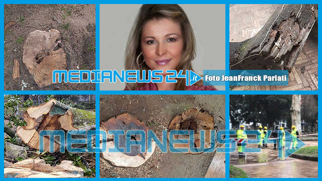 Angri. Alberi abbattuti in villa Comunale, ne abbiamo parlato con l’Assessore Maria Immacolata D’Aniello