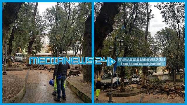 Angri. Iniziati  gli abbattimenti di alcuni alberi (malati) in villa comunale