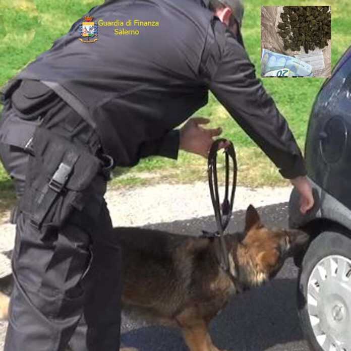 4544514B-EB46-4E02-A619-F325506D93C7