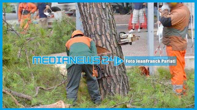 Angri, continuano i lavori di rimozione dei pini