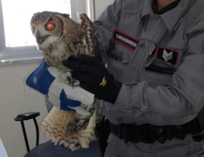 8422DEB3-4BB2-46FA-978C-C06E034A3146