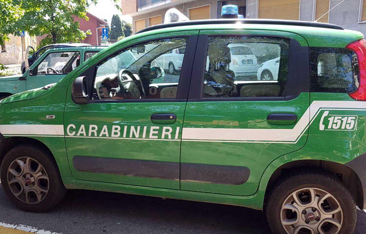 Castelvolturno – Denunce e sanzioni per allevamenti abusivi di animali.