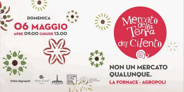 31890698_10156371075599516_6306416908690259968_n