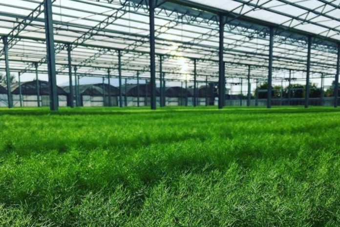 6BFA328B-F547-410C-8641-3D3FEE54B43F