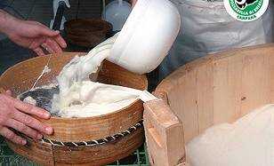 mozzarella_campana_al_cibus_parma