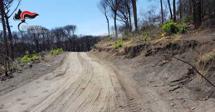 Ercolano – Scivola in un dirupo alle pendici del Vesuvio, 84enne ritrovato dopo 6 ore di ricerche