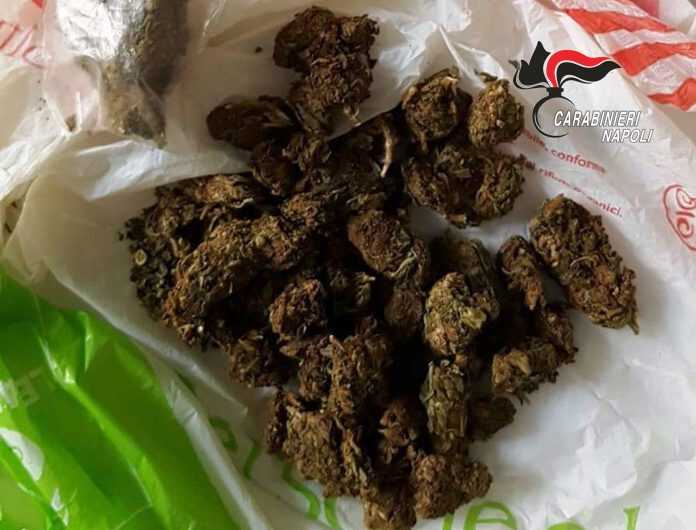 marijuana piano sorrento