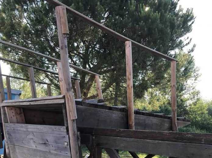 35842505_10156485107064516_7405609416101199872_n