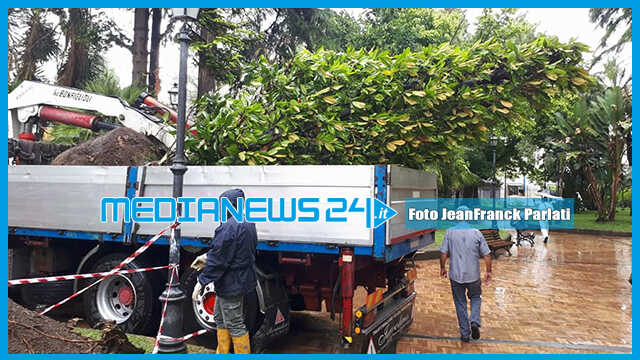 Angri. Piantati nuovi alberi in villa