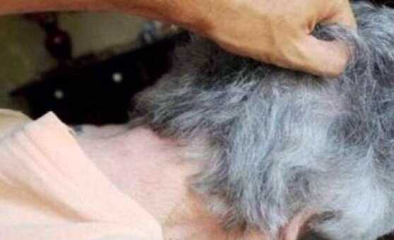 Picchia la nonna per ottenere 200 euro. Fermato 15enne