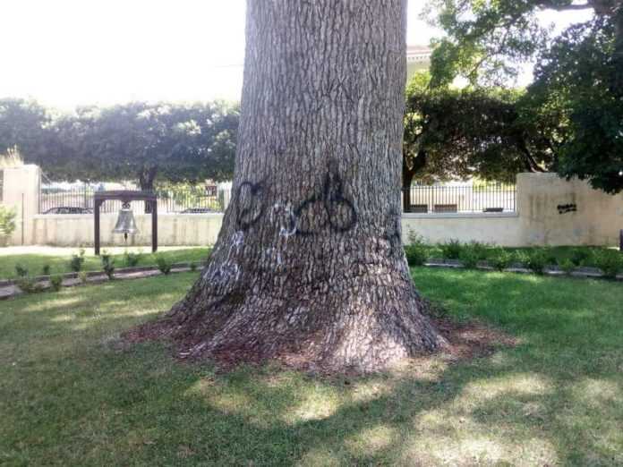 36547137_2283098065039278_4541730918255034368_n