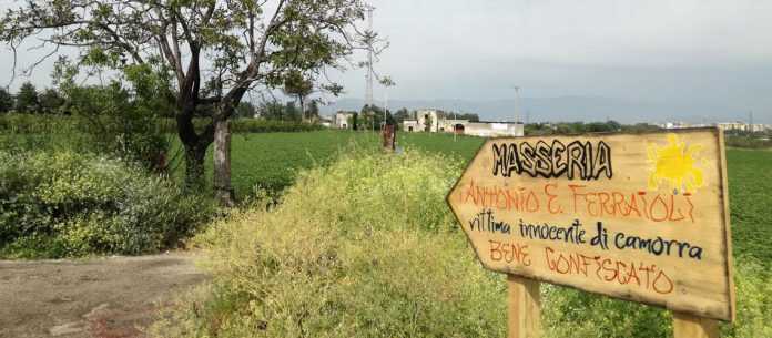 40428412_2634118879947295_4559516489496920064_o