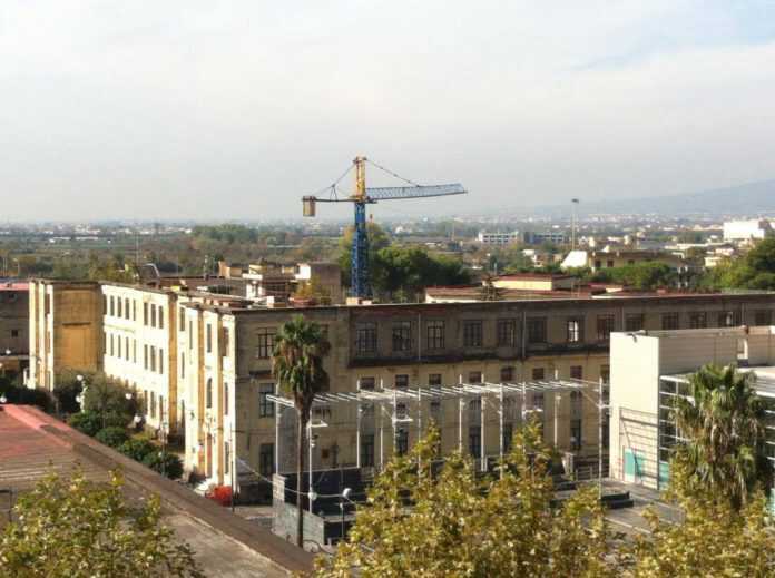 601460_355177971295700_2131232280_n