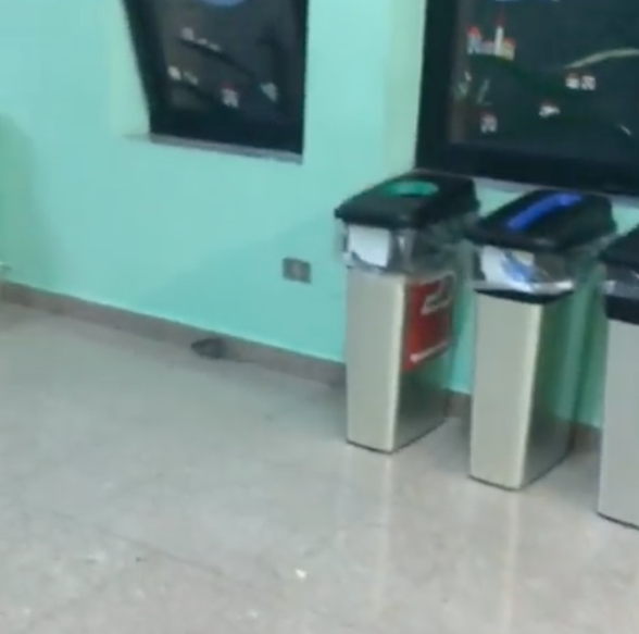 Eboli. Topi a spasso nei corridoi dell’ospedale