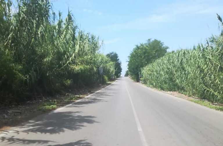 Campania – In arrivo 20mila migranti su litorale Domitio e piana del Sele. La lega attacca: ” In arrivo nuovi schiavi”.