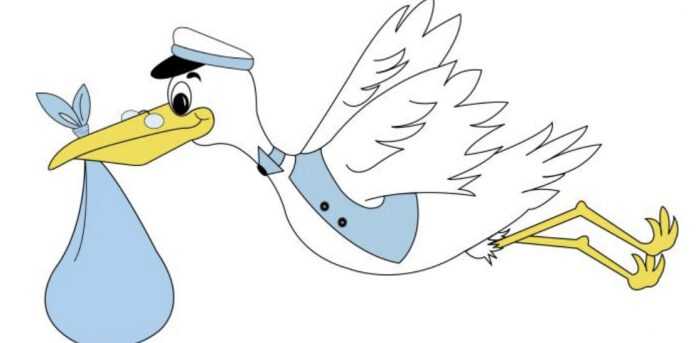 82531F8A-AE35-4E95-ACA6-10C35E704562