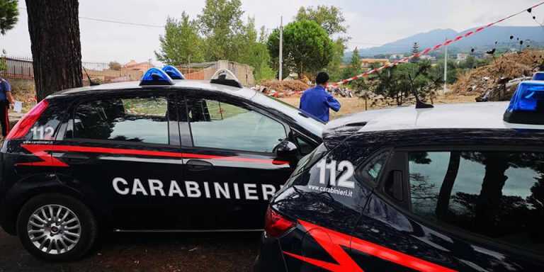 Santa Maria/Pompei.18enne ruba cannabis, arrestato dal vicino di casa del titolare dell’azienda