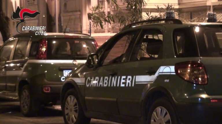 Napoli. Attivita’ dei carabinieri contro il bracconaggio: sequestri e denunce