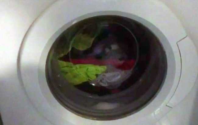 droga-lavatrice-650x412