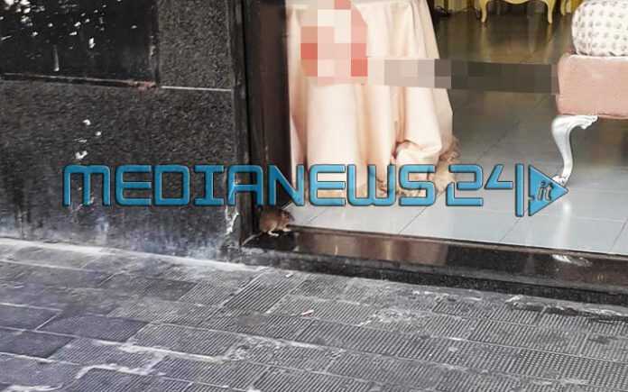 topo_nocera-inferiore2