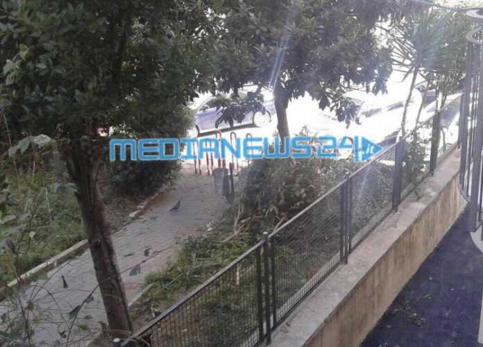 26048F86-7682-4E1E-8886-92A6F259409E