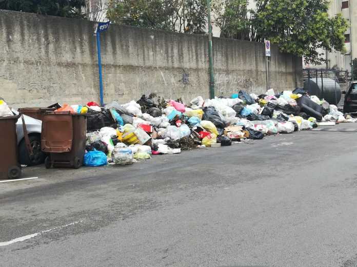 45BA412F-26D6-4A07-9948-829CFFC70036