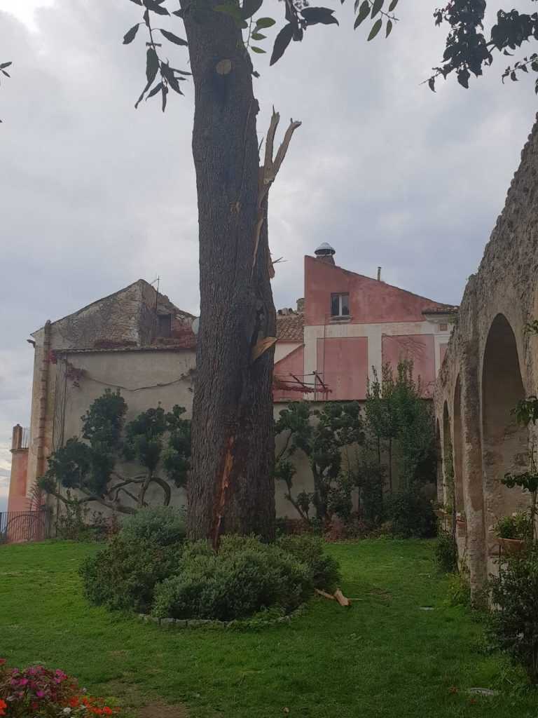 Ravello. Fulmine colpisce pino secolare, strada interrotta