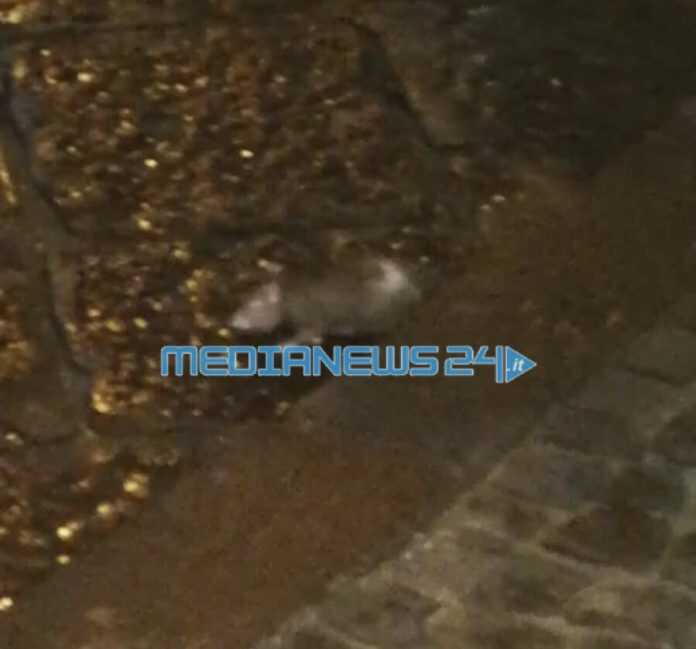 8EBED51F-8362-40D0-986E-B8D3037B2D9D