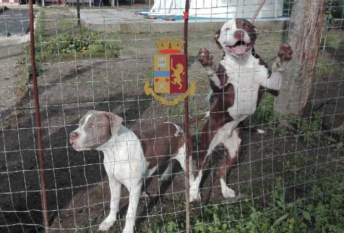 C4B11EB8-A1FC-4A76-87DC-5D2B4761AEE1