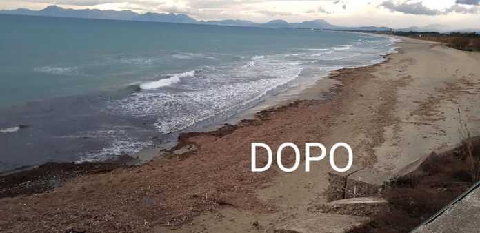 49474857_10156955556294516_3609046308565811200_n