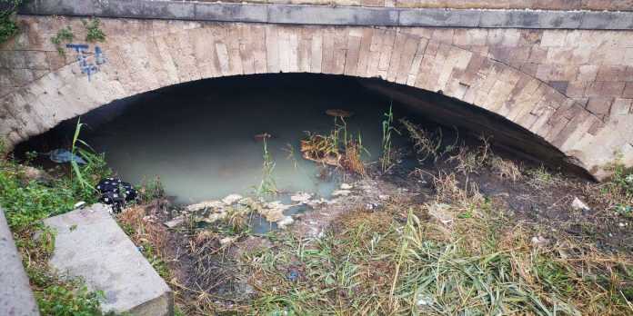 photo_2019-01-20_08-44-18 (4)