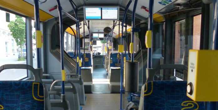 bus