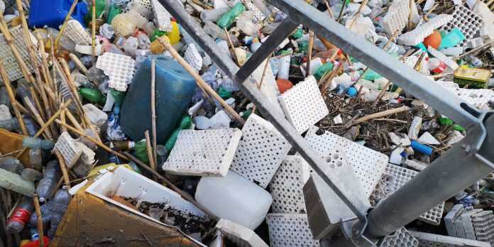 degrado alveo nocerino 3