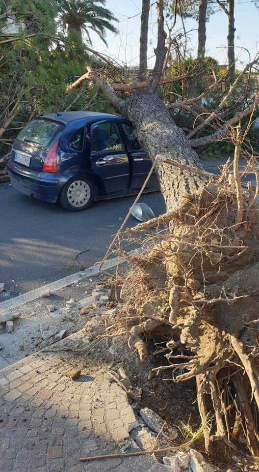 San Sebastiano al Vesuvio. Albero cade su un’auto