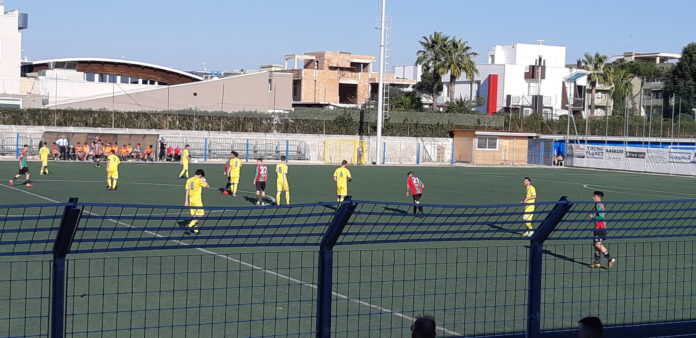 20190323_161059-696x338