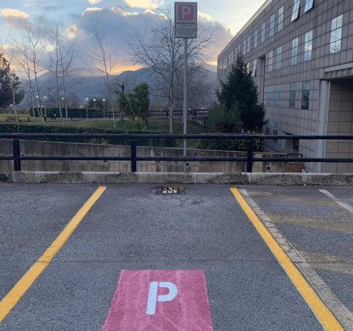 53160328_2247523538829111_8207564610098692096_n