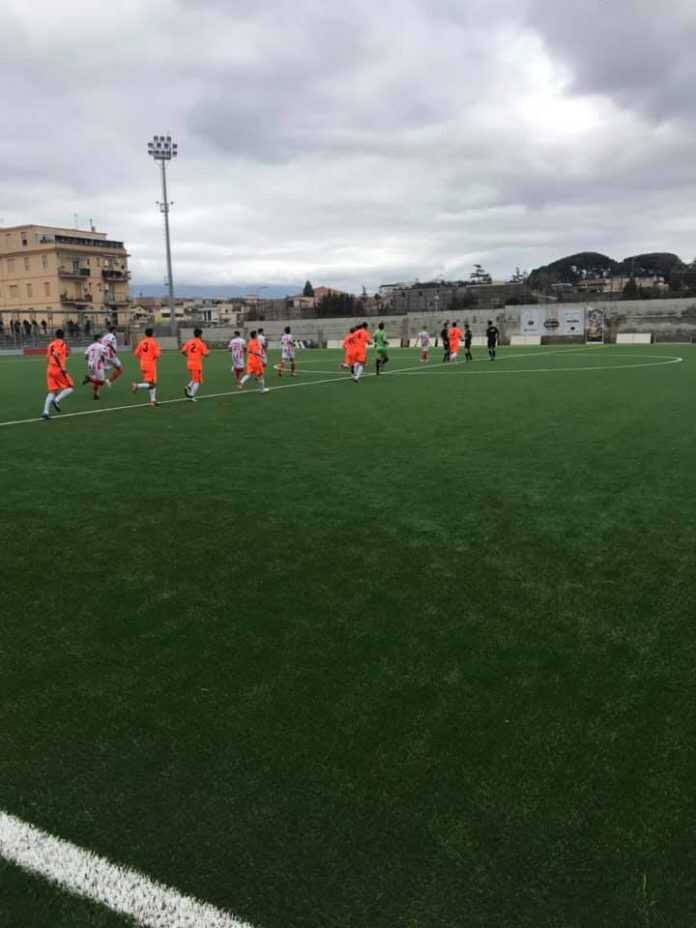 53489209_2344243785821127_3751663180120588288_n