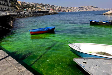 Napoli: Verdi, a Posillipo mare verde, forse sversamento