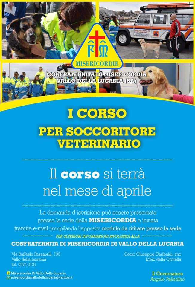 FB_IMG_1554033911009