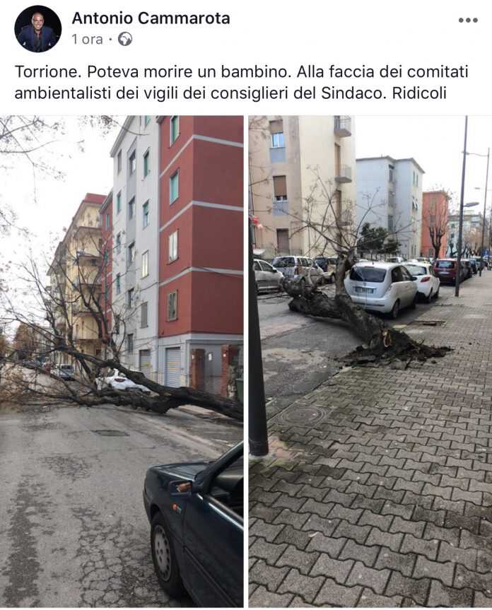 FE74C41C-D93D-42A4-AE2F-D57B21DADF62